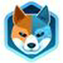 AIDOGE