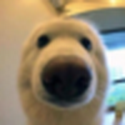 Boop / WETH