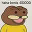 BENIS
