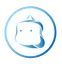 YETI