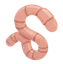 WORM