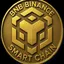 bnb_bsc