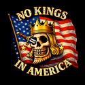 NO KINGS AMERICA
