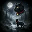 MOON DREAM