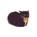 pixelkitty