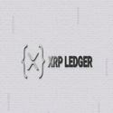 XRP LEDGER