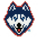 UCONN HUSKIES