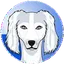 SALUKI