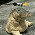 Greg