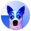 wBaseDOGE