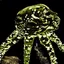 octo