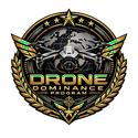 DRONE DOMINANCE PROGAM
