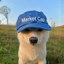MCAP