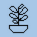 SEED