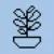 SEED