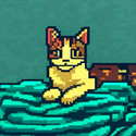acryptocat