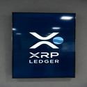 XRP LEDGER