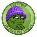 IN PEPE WE TRUST WIFPEPE