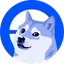 DOGE