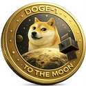 DOGE1