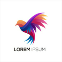 LOREM
