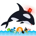whalealerts