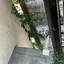 herb decor