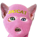 SKICAT