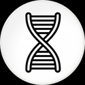 XDNA