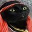 CAT MONEY