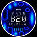 B20T