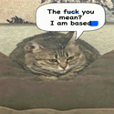 BASEDCAT