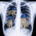 CATINME