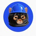 CoverCat