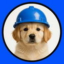 Basedog