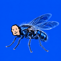 FLYBRIAN