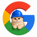 GoogleCat