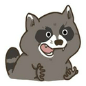 Racoon