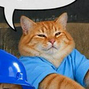 VIBECAT