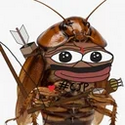 cockroach