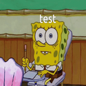 TEST