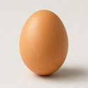 egg