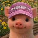不许在赌场里哭