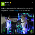 LUCKY CAT
