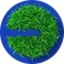 GRASS