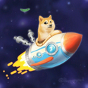 rocket cat