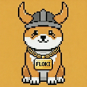 FLOKI