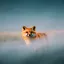 FoxFog