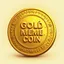 GOLD MEME COIN