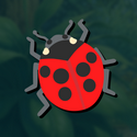LLOYDTHELADY BEETLE